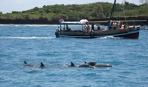 Full day Wasini Island Dolphin Excursion Kenya