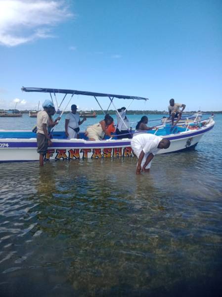 Full day Wasini Island Dolphin Excursion Kenya