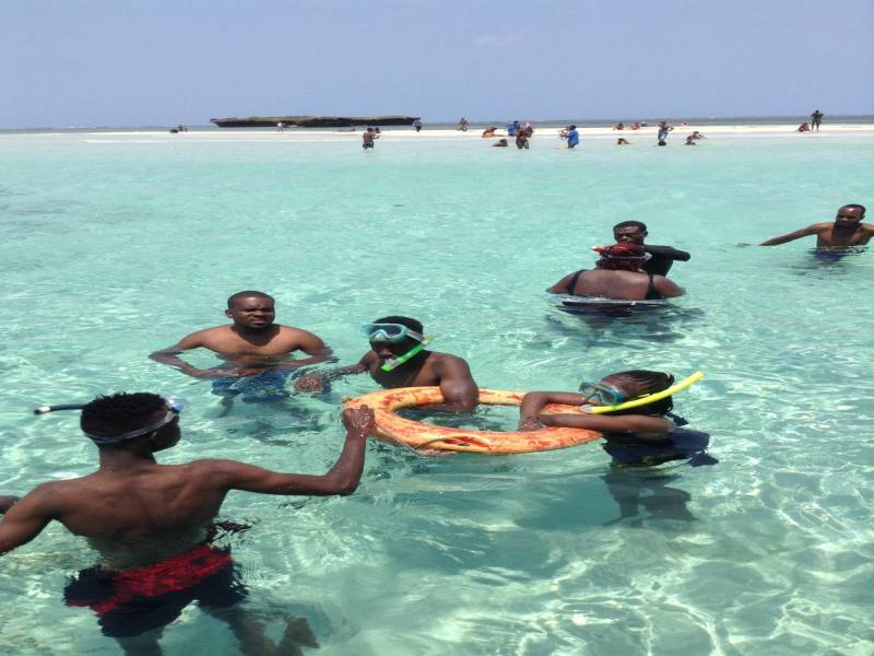 Full day Wasini Island Dolphin Excursion Kenya