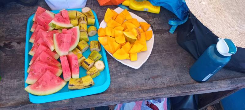 Full day Wasini Island Dolphin Excursion Kenya