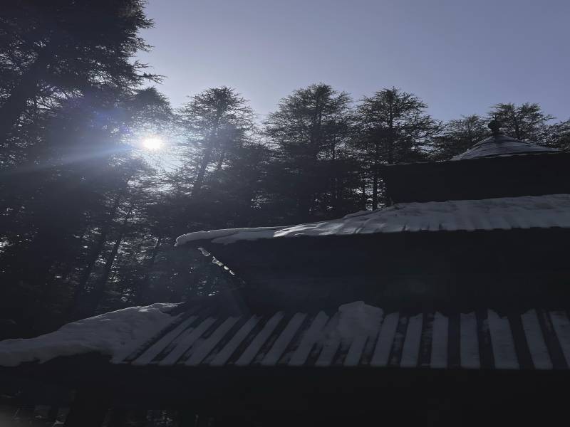 3 Nights 4 Days Manali Kasol  group Tour Ex Chandigarh