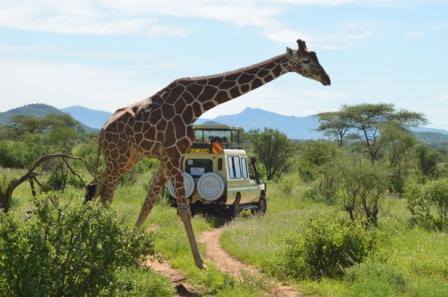 3 NIGHTS TO LAKE NAKURU & MAASAI MARA