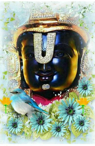 Chennai To Tirupati One Day Tour Package - Chennai Car Travels