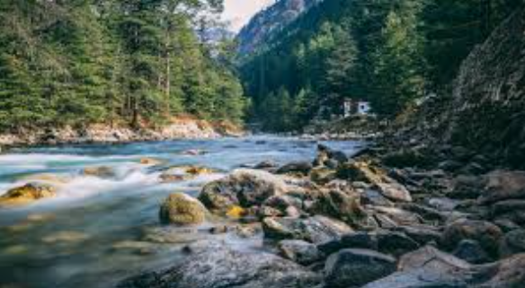 4 Night - 5 Days Manali Tour From Chandigarh Image
