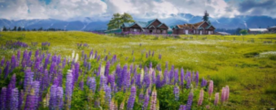 Beyond The Horizon - Kashmir - The Jewel Of The Himalayas 6N 7D Of Pure Bliss Tour