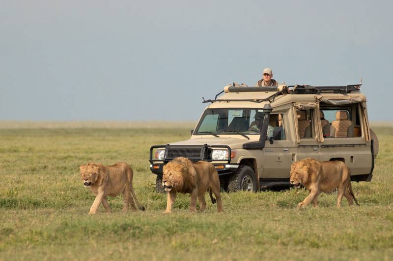 7 Days Luxury Safari Retreat Image