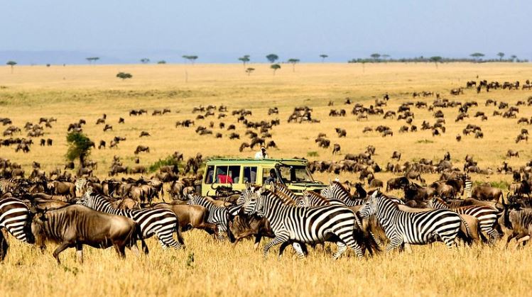 7 Days Luxury Safari Retreat