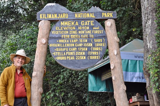 8 Days Mount Kilimanjaro Lemosho Route