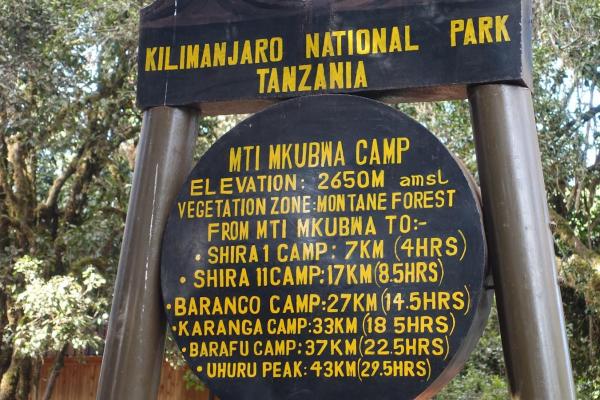 8 Days Mount Kilimanjaro Northern Circuit Image