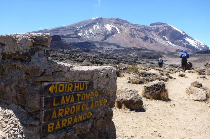 8 Days Mount Kilimanjaro Northern Circuit