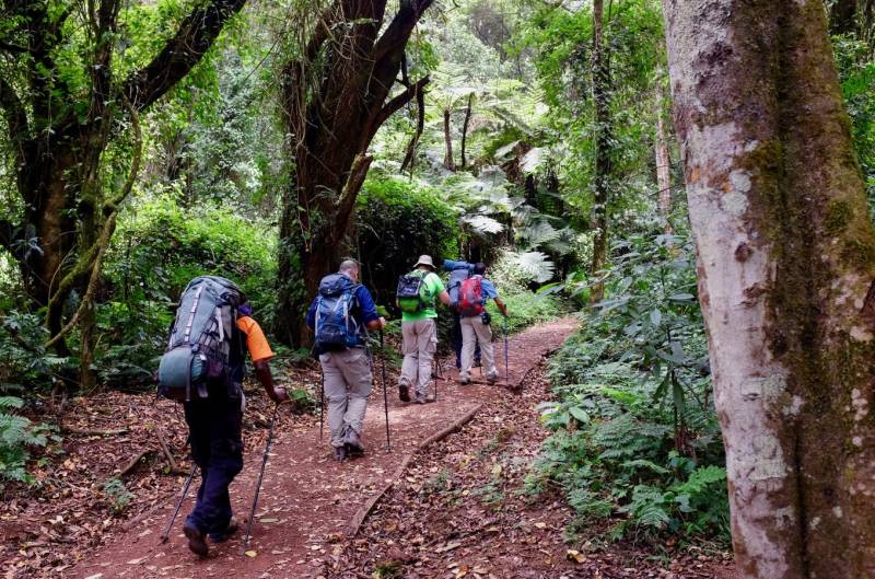 8 Days Mount Kilimanjaro Northern Circuit