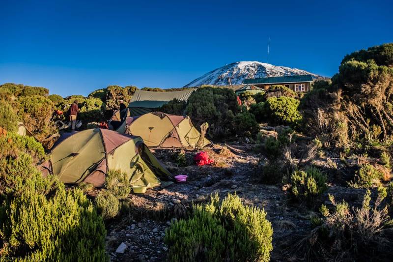 8 Days Mount Kilimanjaro Northern Circuit