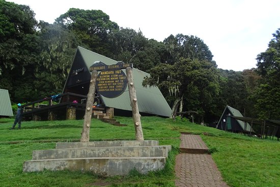 6 Days Mount Kilimanjaro Rongai Route