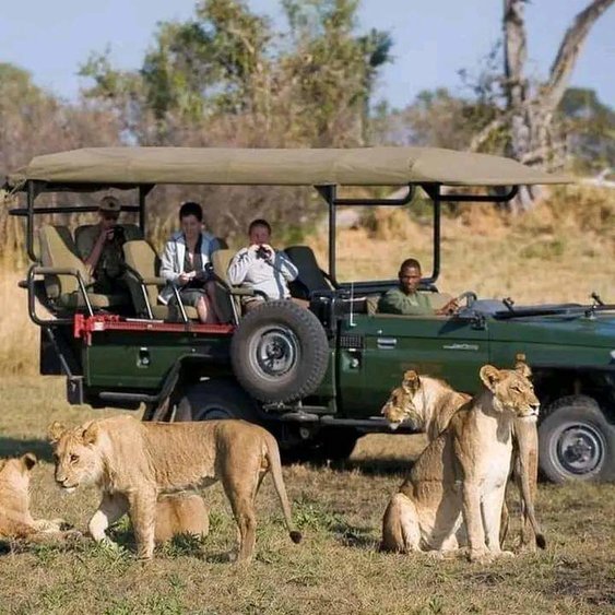 5 Days Family Safari Adventure Tour Image