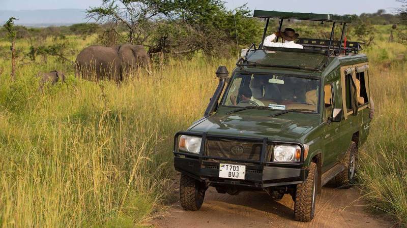5 Days Serengeti Safari Adventure Tour