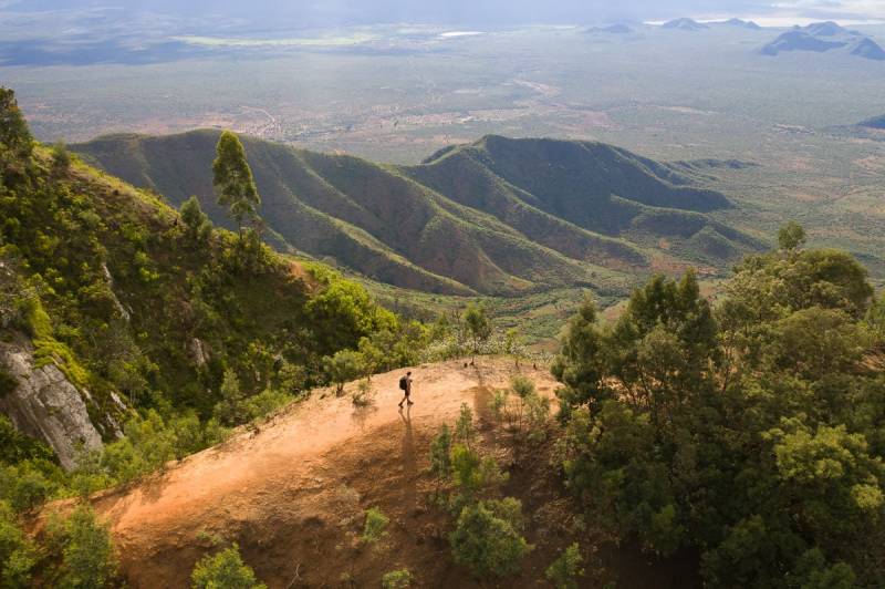 6 Days Usambara Mountains Trekking Tour Image