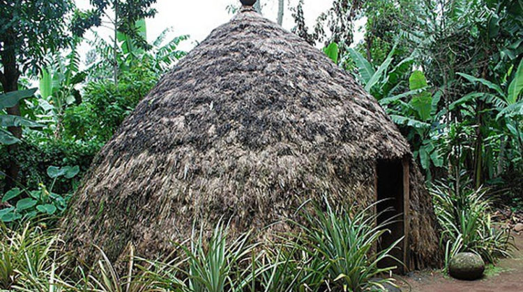 1 Day Marangu Village And Chaga Caves Tour Image