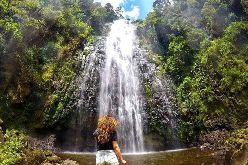 One Day Materuni Waterfalls And Coffee Tour Image