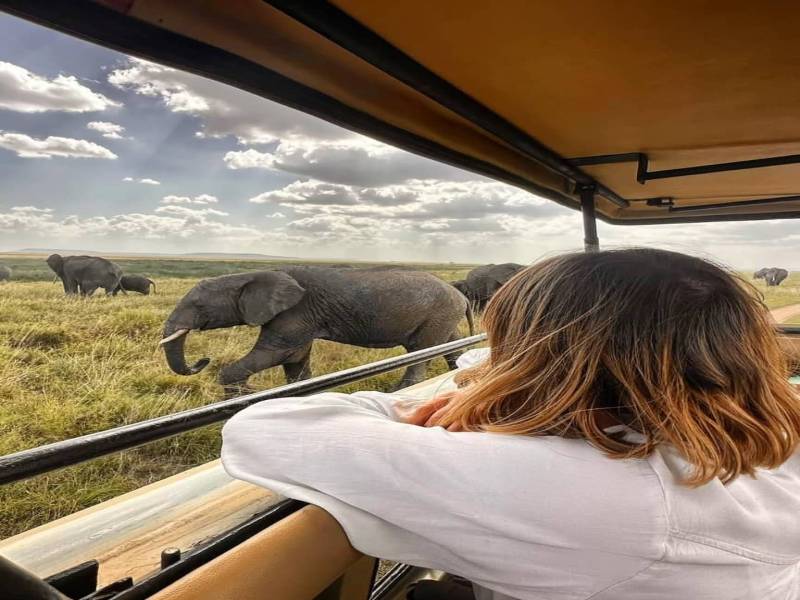 6 Days Romantic Honeymoon Safari Tour