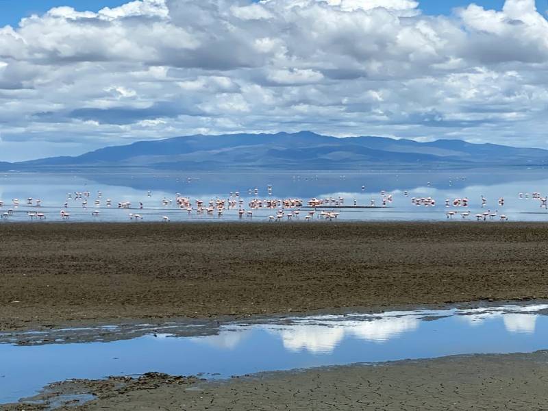 3 Days Ngorongoro Crater And Tarangire Safari Tour