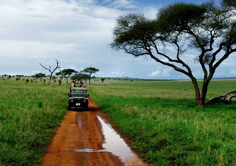 3 Days Ngorongoro Crater And Tarangire Safari Tour