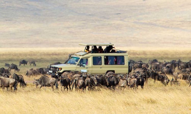 5 Days Serengeti Safari Adventure Tour