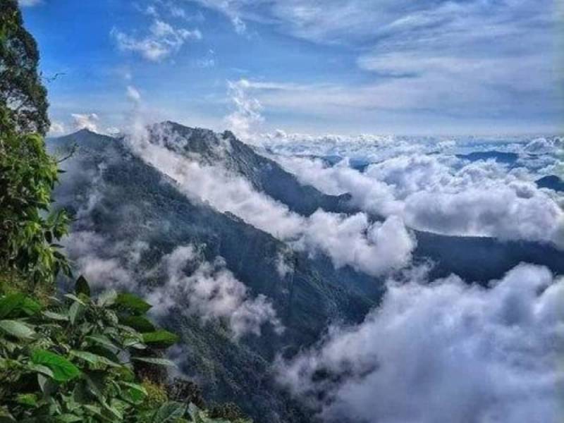 5N 6D Mysore - Ooty - Kodaikanal Tour