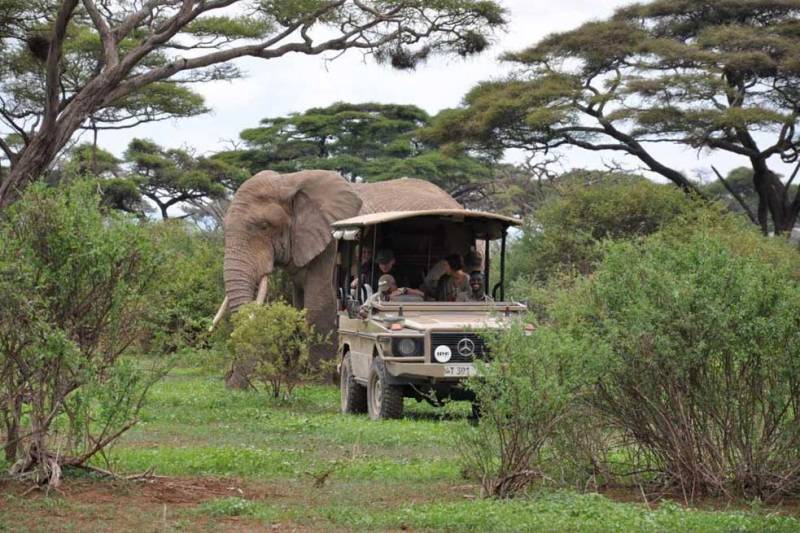 7 Days Tanzania Safari - Tarangire - Serengeti - Ngorongoro Tour Image