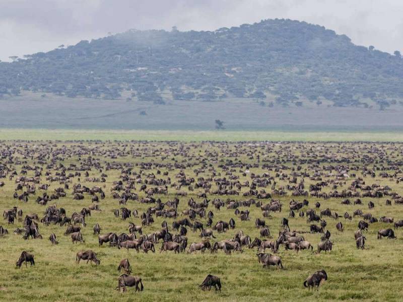 3 Nights 4 Days Maasai Mara Package