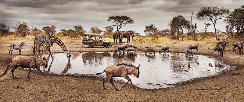 4 Days Tarangire Ngorongoro Creater Serengeti