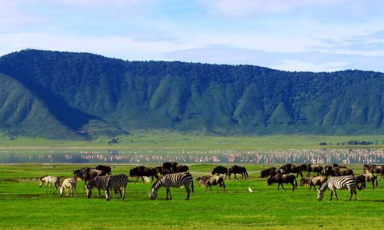 5 Days Luxury Safari