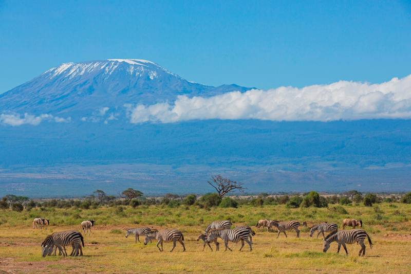 Kilimanjaro Mountain