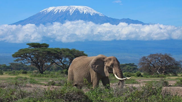 Kilimanjaro Mountain