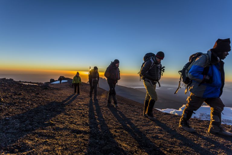 8 Days Kilimanjaro - Shira Route Tour