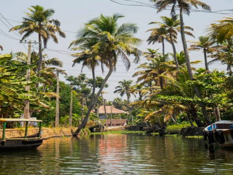 1 Night - 2 Days Alleppey - Alappuzha Tour Package Image