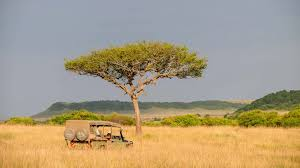 3 Day - 2 Night Maasai Mara Tour Image