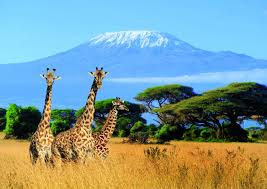 3 Night - 4 Day Kenya Package