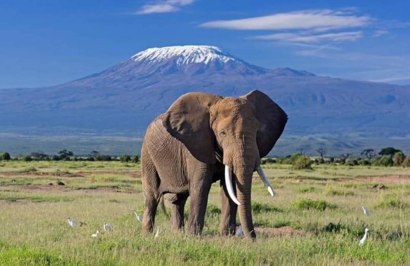 Kenya Safari 11 Days 10 Nights 4 Adults