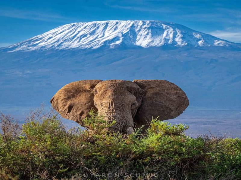 Kenya Safari 11 Days 10 Nights 4 Adults