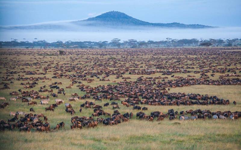 From Sky to Savannah: A 5-Day Private Safari from Kilimanjaro to Tarangire, Serengeti, Ngorongoro