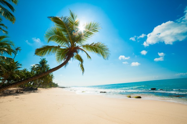 Discover Andaman Adventure 5 Night - 6 Days Tour Image