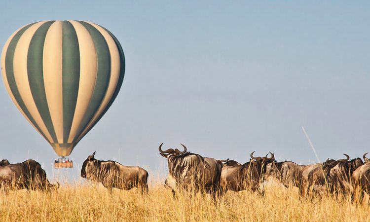 2 Nights 3 Days Masai Mara