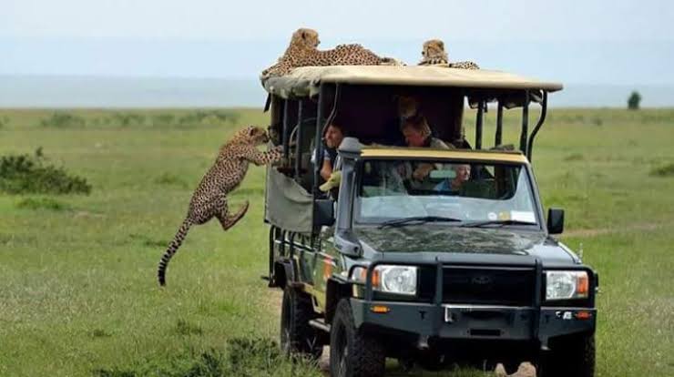 2 Nights 3 Days Masai Mara
