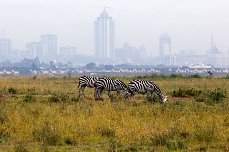 Nairobi Day Trip