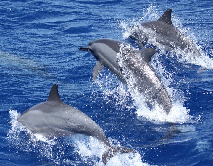 6 Nights 7 Days Bush To Beach Tour