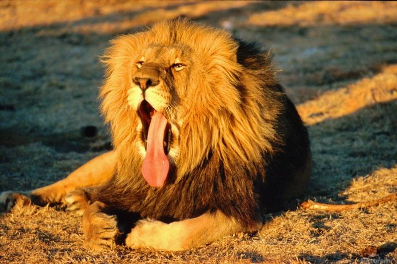 6 Days 5 Night Bush Adventure