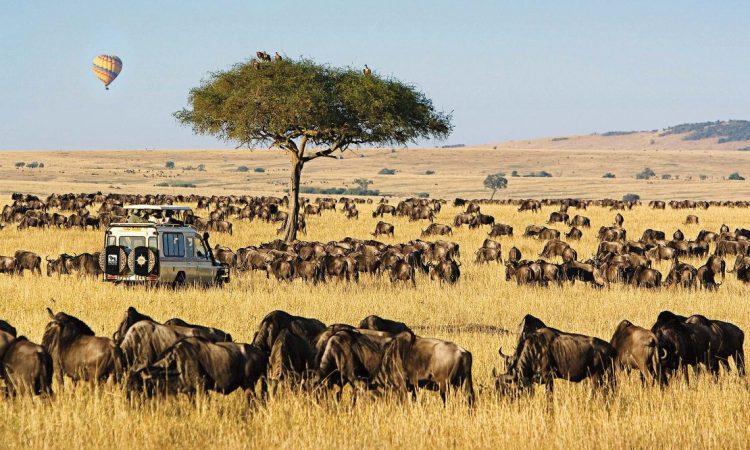 2 Nights 3 Days - Nairobi - Narok - Masai Mara