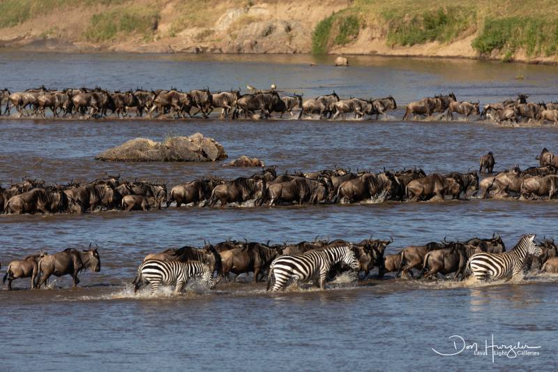 7 Days Tanzania with the Great Migration North Serengeti