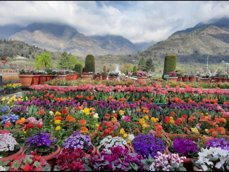 1 Night  2 Days Kashmir Tour