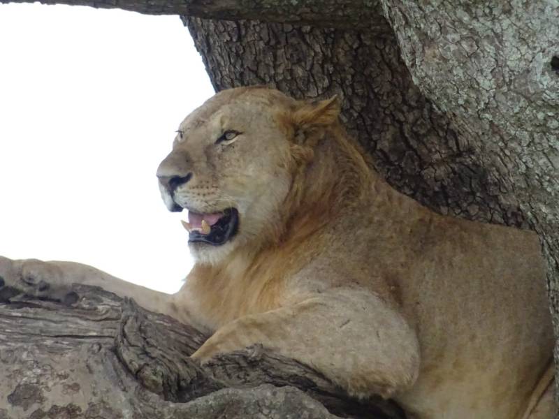 8 Days Of Wilderness In Luxury Tour